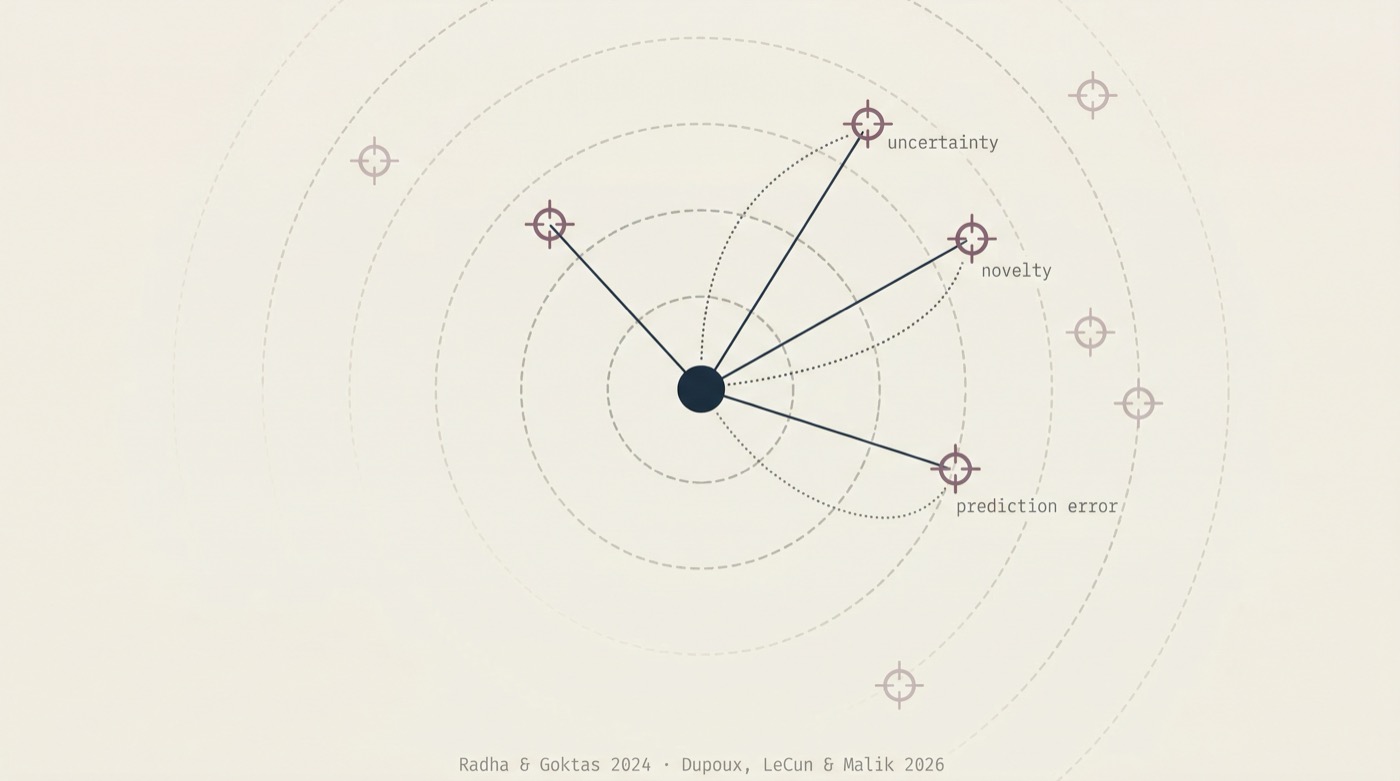 An agent as a radar scanning outward, actively targeting uncertainty and novelty.