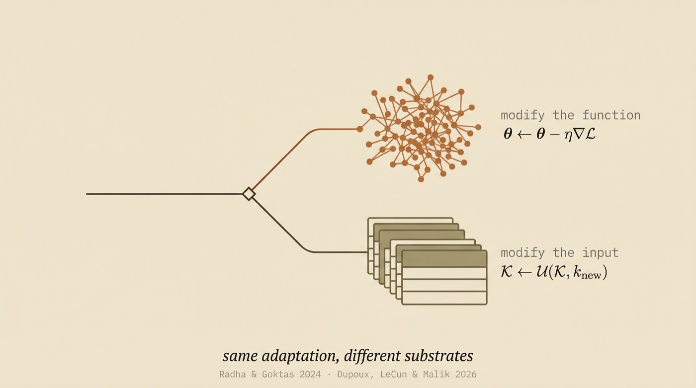 One path splits into two substrates: parameters above, external knowledge below.