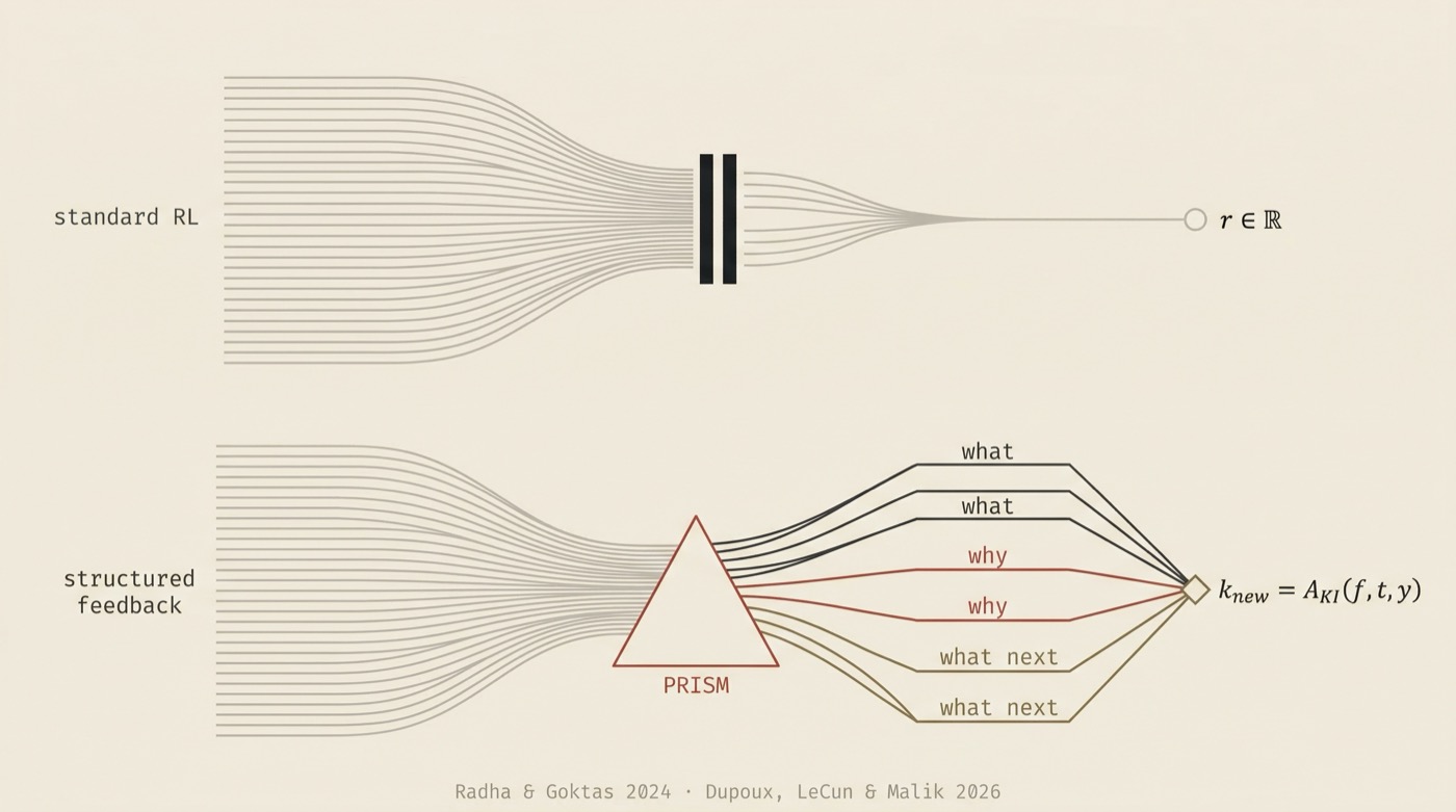 A scalar reward compressed through a bottleneck versus structured feedback decomposed through a prism.